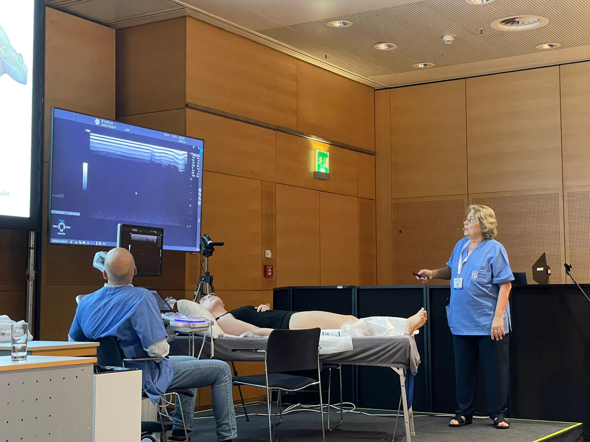 Dra. Ingrid Möller imparte cursos en Viena – 31st EULAR Sonography Course